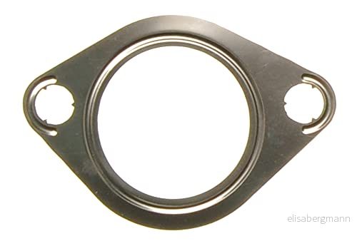 MISSLÅLIG GASKET 8427769669941