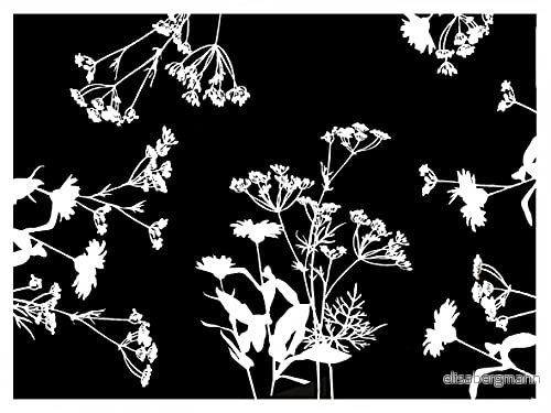 Pro Nappe Ref 314326I Engångstablett av präglat papper med svartvitt blommigt tryck format 30 x 40 cm tillverkad i Frankrike 500 pack 3281513143263