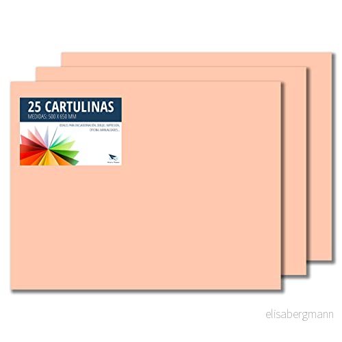 Raylu Paper® 50 x 65 cm kartonger, 25 enheter, 180 g/m². Färgade kartonger som är idealiska för hantverk, kontor, ritning, origami (karne) 8436604541960