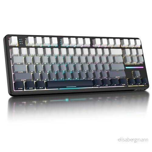 ATTACK SHARK X87 80% trådlöst mekaniskt speltangentbord, BT/2.4G/USB C Hot Swap packning, RGB belysning, 4000mAh, försmord linjär switch, sidograverad gradient PBT tangentkapsel för PC/MAC Svart Vit 752010816651