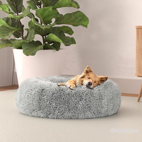 Italian säng linne hundsäng drömmar sogni e capricci pets, pärla, 50 x cm 8058575134837