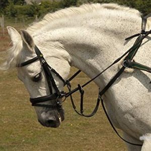 Rhinegold Elegant mjuk känsla gummirör Svart Pony 5055825230496 Rhinegold Elegant mjuk känsla gummirör Svart Pony 5055825230496