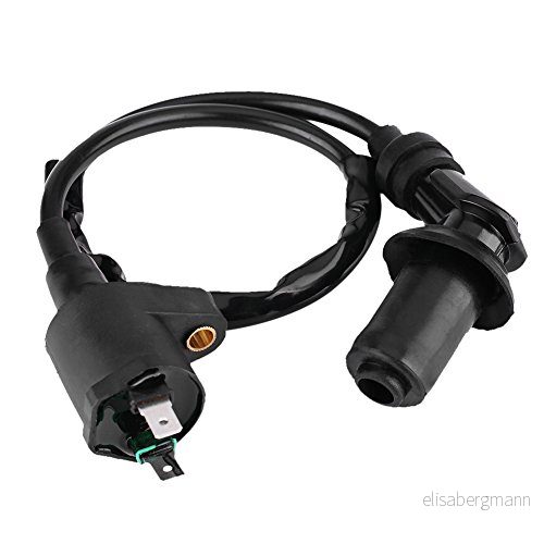 Akozon Tändspole för Moped GY6 Motorcykelmotor Dirt Bike Scooter (svart) 719233501573