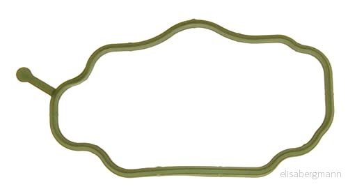 MISSLÅLIG GASKET 8427769995811