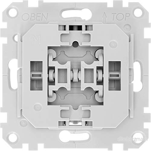 TechniSat smart Home seriekopplare insats (infälld dosa, Z Wave Plus, ljuskontroll via app, Samsung SmartThings, kompatibel med Merten strömbrytarprogram System M) 4019588294981