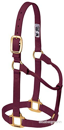 Väv läder original icke justerbar grimma (burgundy, Avarage Horse/Årling Drag) 399130807 Väv läder original icke justerbar grimma (burgundy, Avarage Horse/Årling Drag) 399130807
