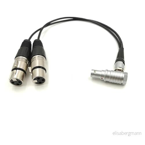 Atom~s Dubbel XLR hona 3-stifts ljudingångskabel till 10 stift rak för skärminspelare shog ~n (armbågspluggkabel, 150 cm) 8393579098700
