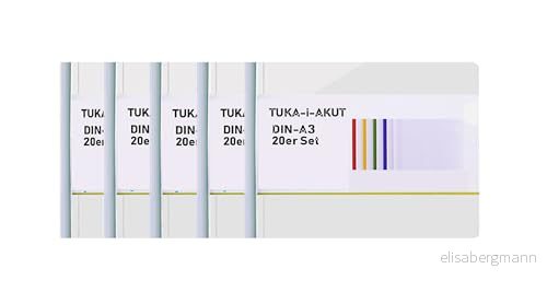 TUKA i AKUT 20 st. A3 Sliding Bar Binder, PP transparent klämskenor rapporter kuvert, skydd grepp bindstänger dokument klassificering, set om 20, skjutbar vitt, TKD8041 W white 20x 6975990037043