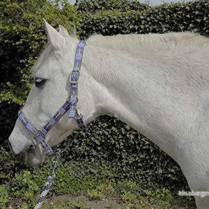 Rhinegold karneval huvudkrage & matchande rep set Blått ruta Pony 5055825247456 Rhinegold karneval huvudkrage & matchande rep set Blått ruta Pony 5055825247456